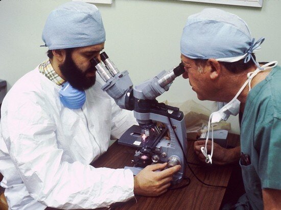 Фото - pxhere.com.