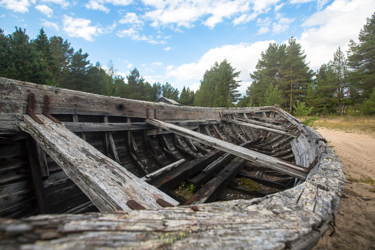 Пурнема. Кладбище карбасов