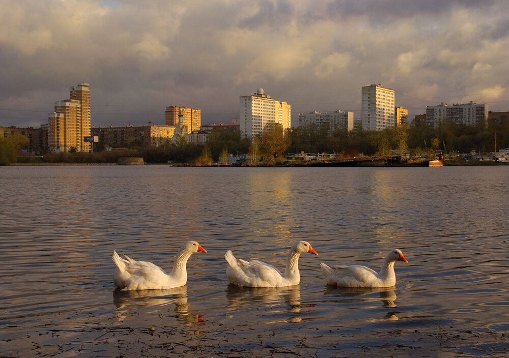 Забытая москва