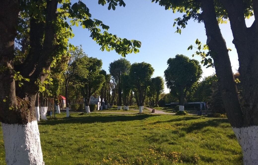 Парк.