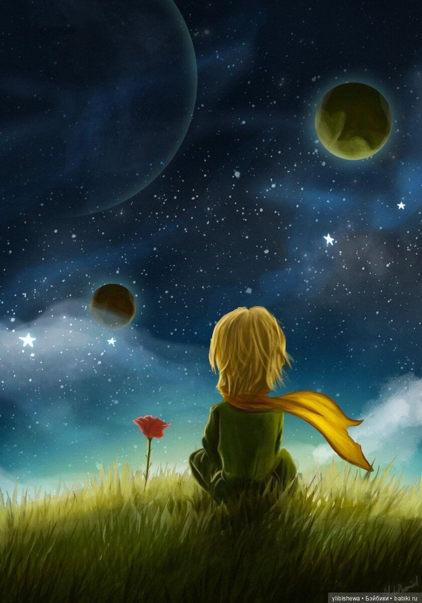 Маленький принц со своей  любимой розой