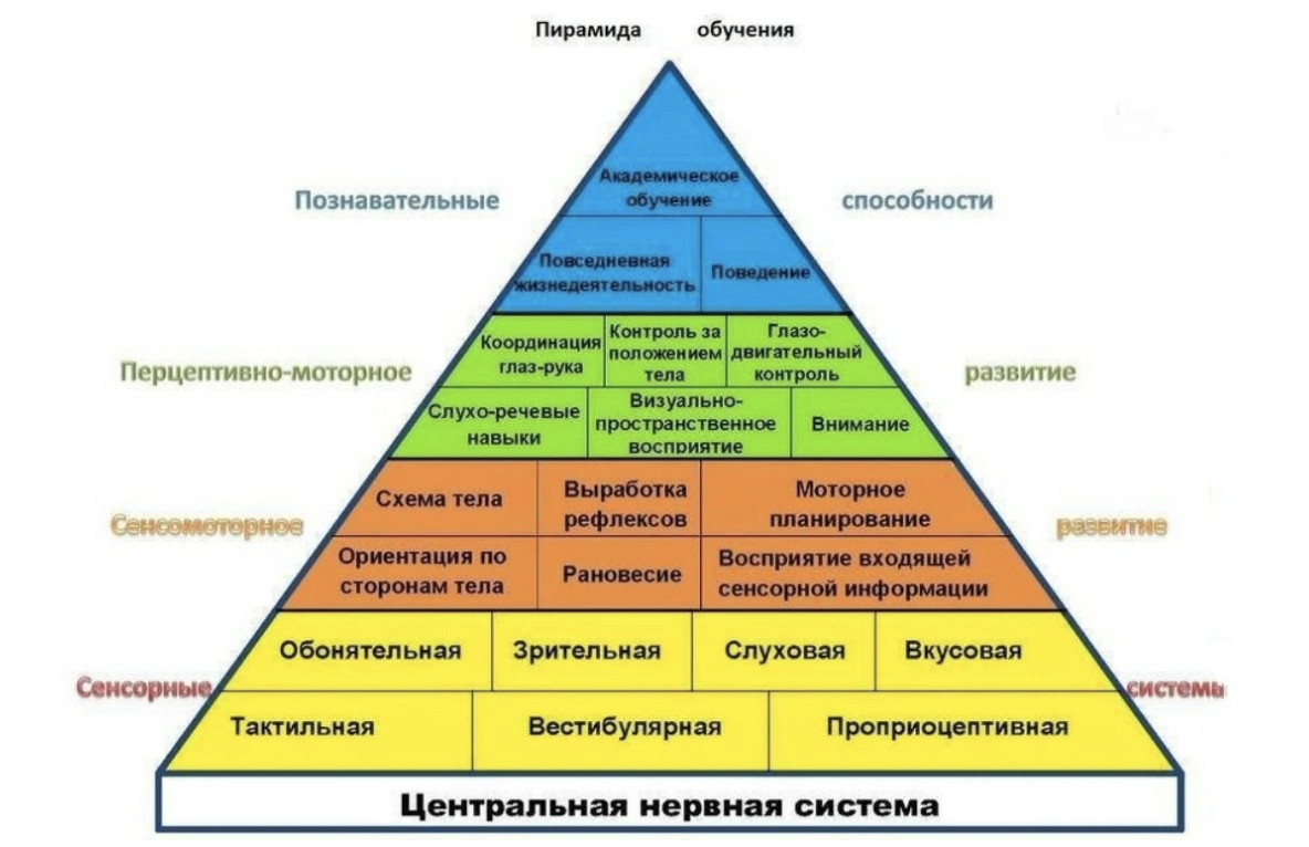 5 причин, почему детский сад важнее университета 👨‍🎓 | Детский сад  Novator KIDS | Дзен