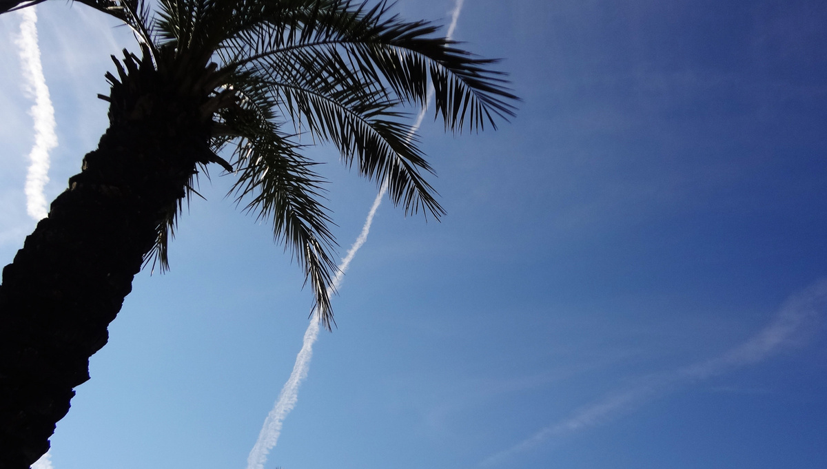 Скоро на курорты снова полетят самолеты. Фото из личного фотоархива автора