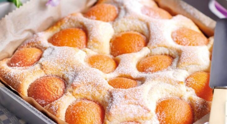 Фотоматериал: google.com