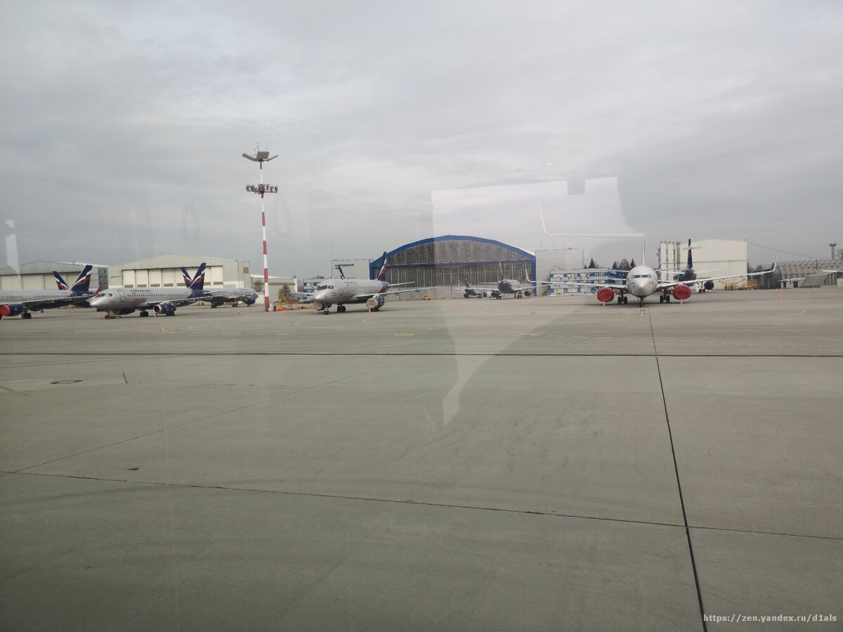 Это наша жизнь, а не кадры из фильма. Как сейчас выглядит крупнейший аэропорт России в разгар короны?