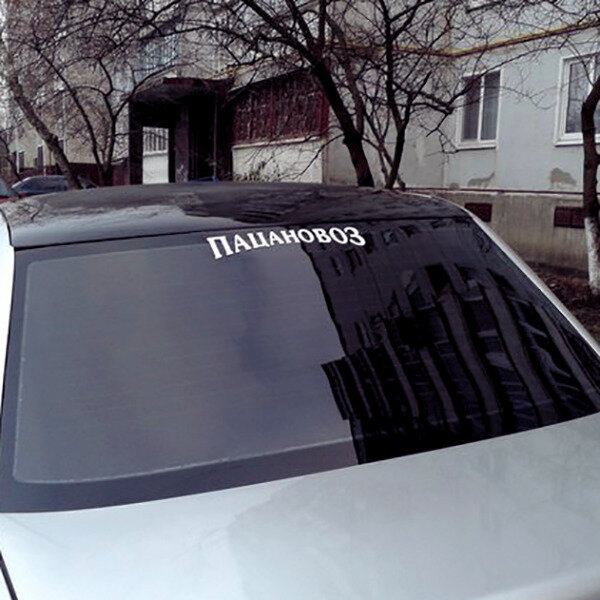 Фото из интернета