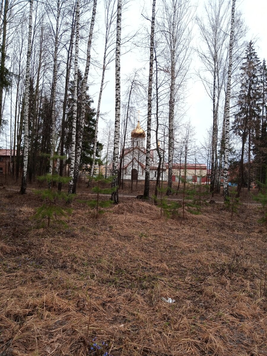 Наша часовня .Тишина сегодня будет.