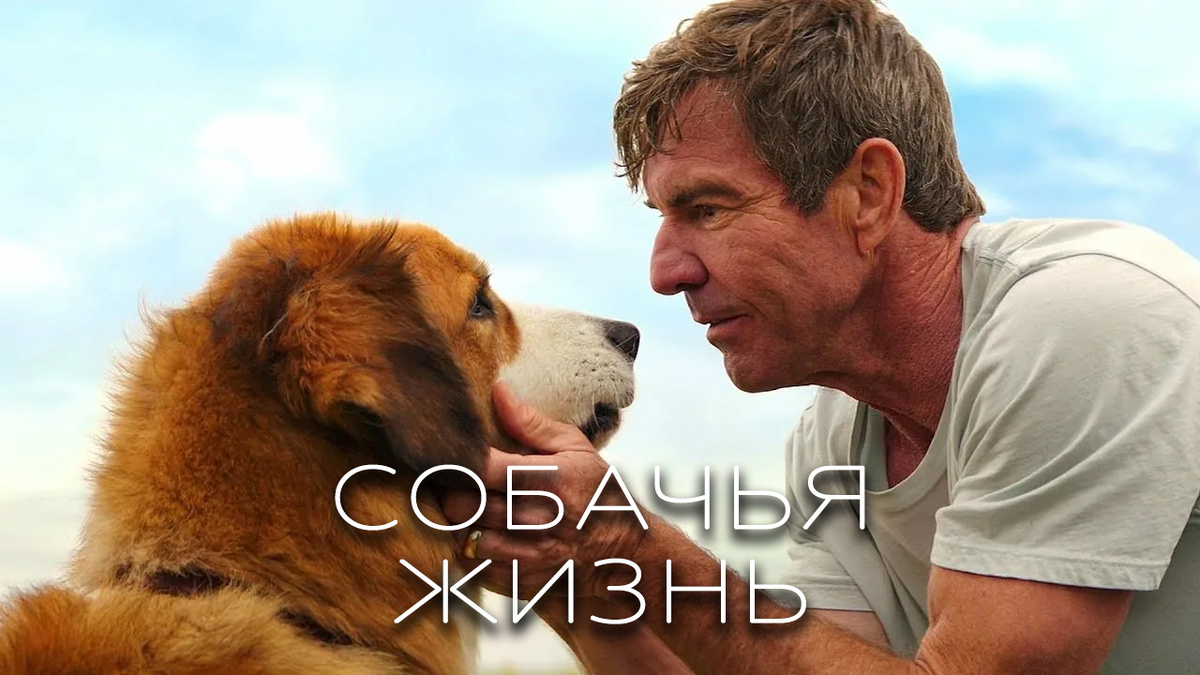 Режиссер «Хатико» и «Моей собачьей жизни» Лассе Халльстрем представляет экранизацию трогательного бестселлера В. Брюса Кэмерона о нескольких жизнях одного пса. В главных ролях: Деннис Куейд, Бритт Робертсон, Джош Гад и др.