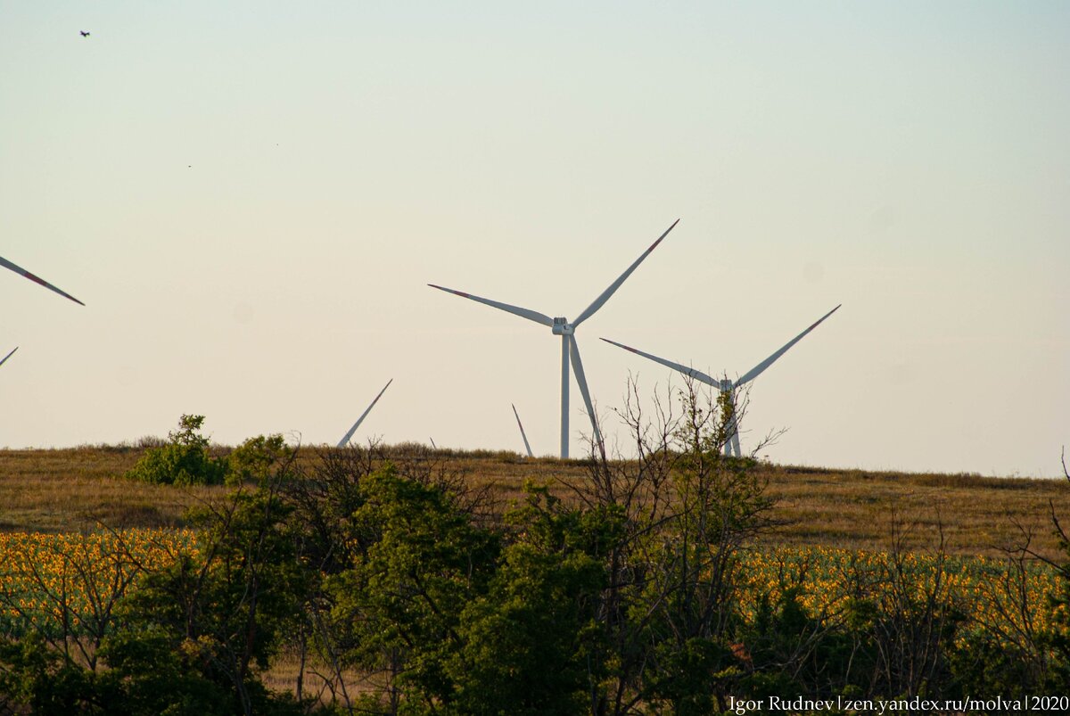 Ветряки в Ростовской области