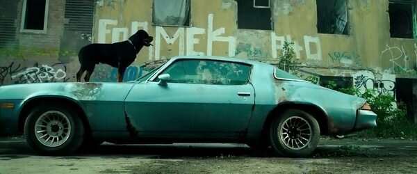 Кадр из фильма «Не дыши» 