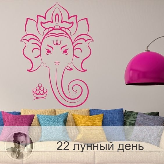 22-ой лунный день с 22:38 10-ого по 22:53 11-ого. 🐘 Символ дня – слон.
🌞 День мудрости, получения тайного знания и его использования, достижения целей, изучения любых наук. Энергетика этого дня усиливает умственные способности. Очень хорошо усваиваются новые знания. В этот день приходит мудрость. В этот день можно узнавать будущее, только не с помощью карт. Хорошо медитировать, быть альтруистом, отдавать знания, проявлять щедрость. Полезно много есть, нагружать желудок.
💊 Обратите внимание на позвоночник, крестец и таз. Нельзя делать резких движений.
🎂 Люди, рождённые в этот день, либо хранители мудрости и традиций, либо махровые консерваторы.
💍 Камень – яшма, сапфир, агат.
📿 Практика дня: медитации.
💤 Сны сегодняшнего дня также несут новые знания и информацию, обратите на них внимание, так как они могут помочь решить насущные проблемы.

—————
📖 Посмотреть отзывы 👉 numeromagic.ru/reviews
🧞♂Помощник по услугам 👉 numeromagic.ru/uslugi