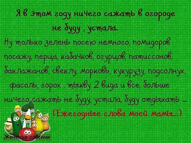 Стихи про дачу и дачников — 220 стихотворений русских и …