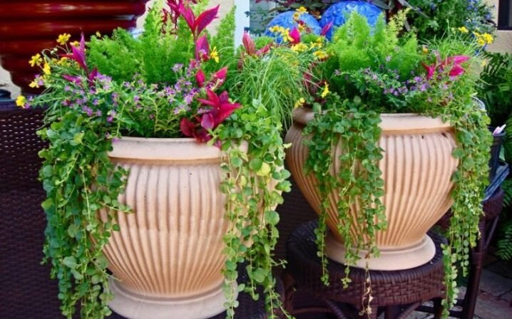 Как сделать самостоятельно уличные вазы под цветы: инструкция для работы