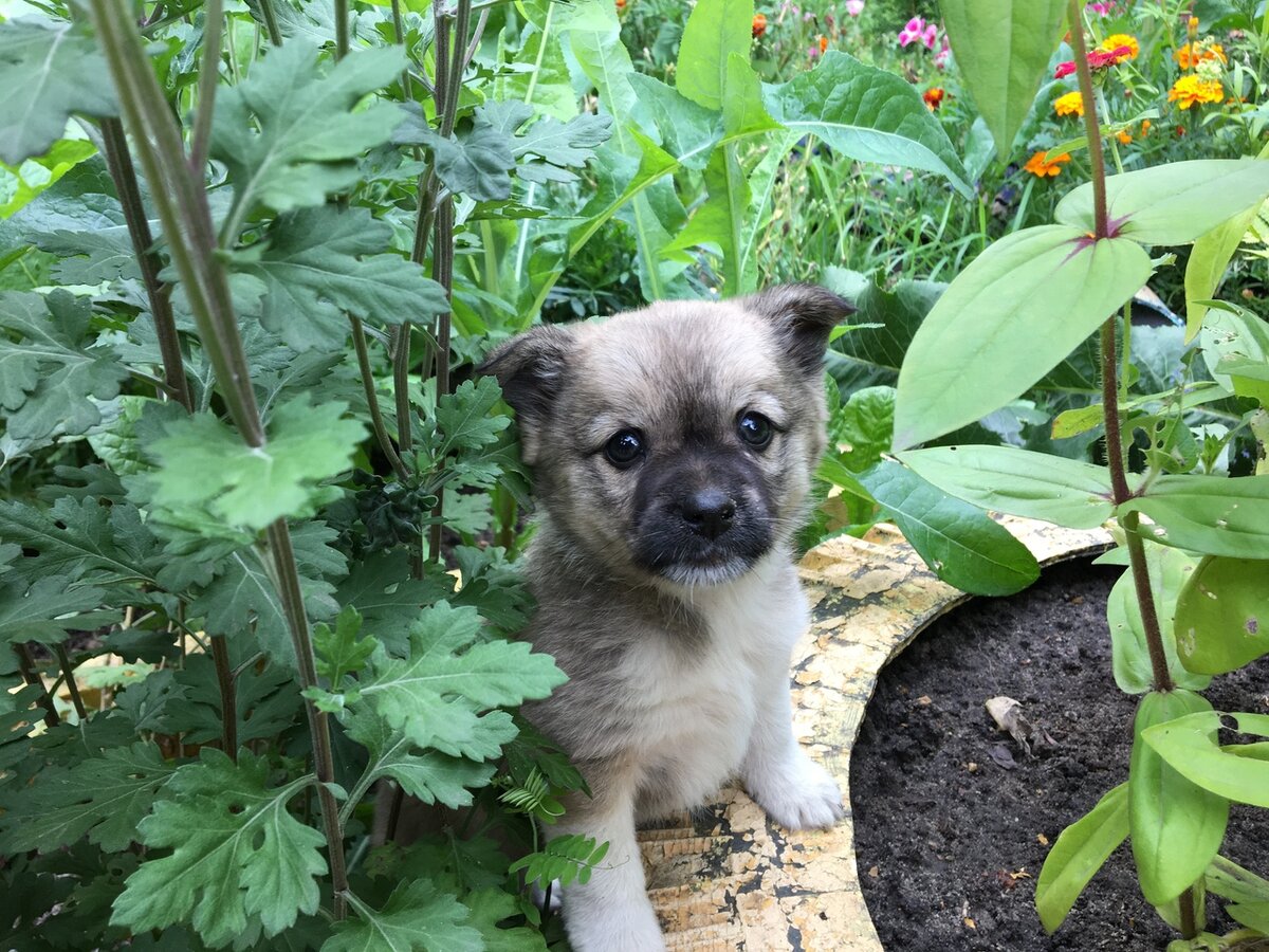 Позирует для фото