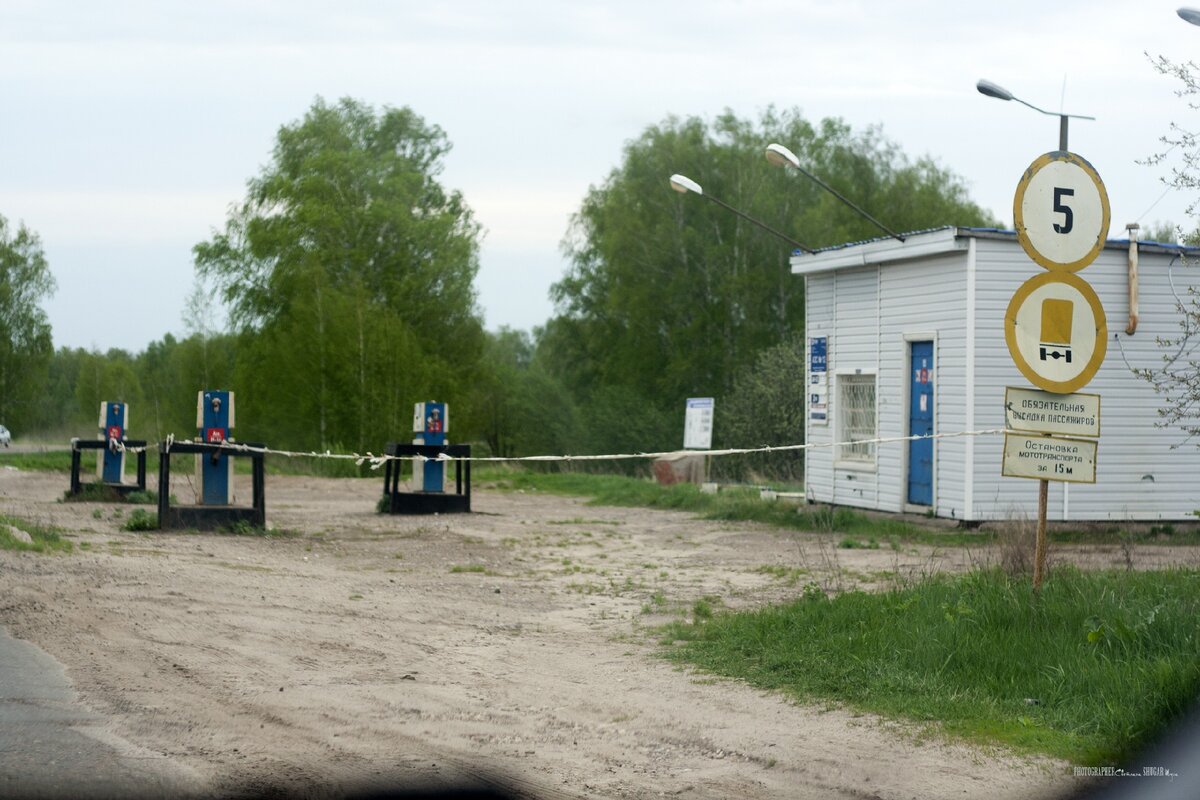 Древний город Васильсурск, священная марийская роща и Нью-Васюки