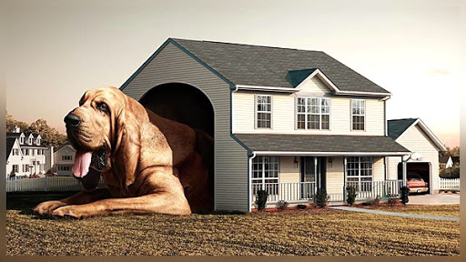 Дом, милый дом)