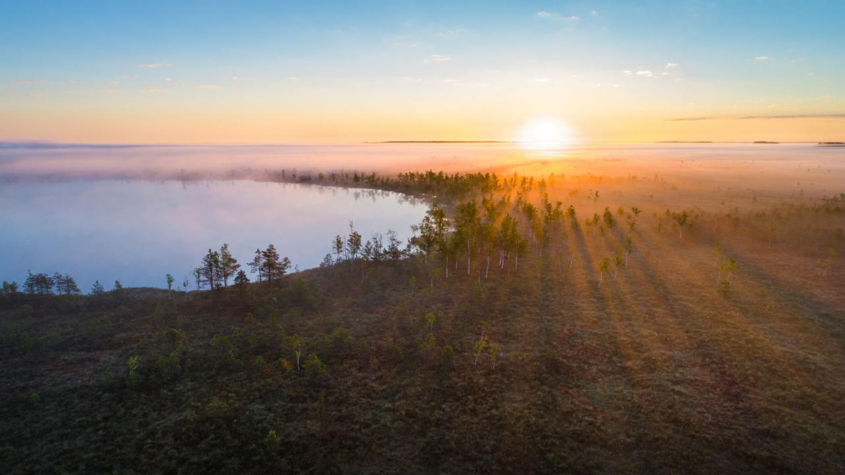 Ельня заказник. Ельня Белоруссия. Ельня Витебская область. Ельня природа. Болотные люди Ельня.