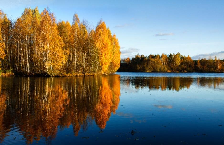 Фото — foto.ua