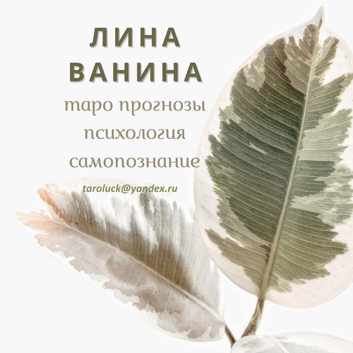 Личный фотоконтент