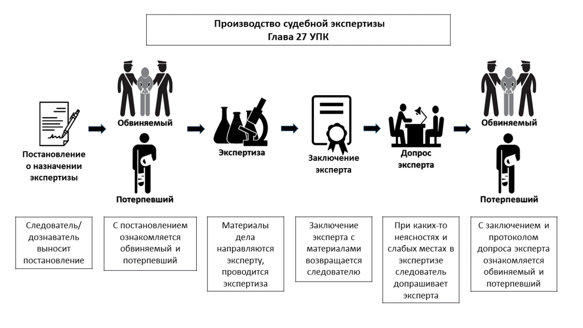 Производство экспертизы презентация