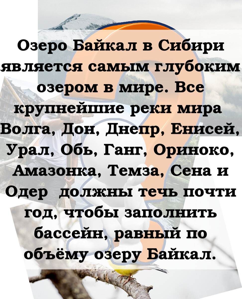 Коллаж канала.