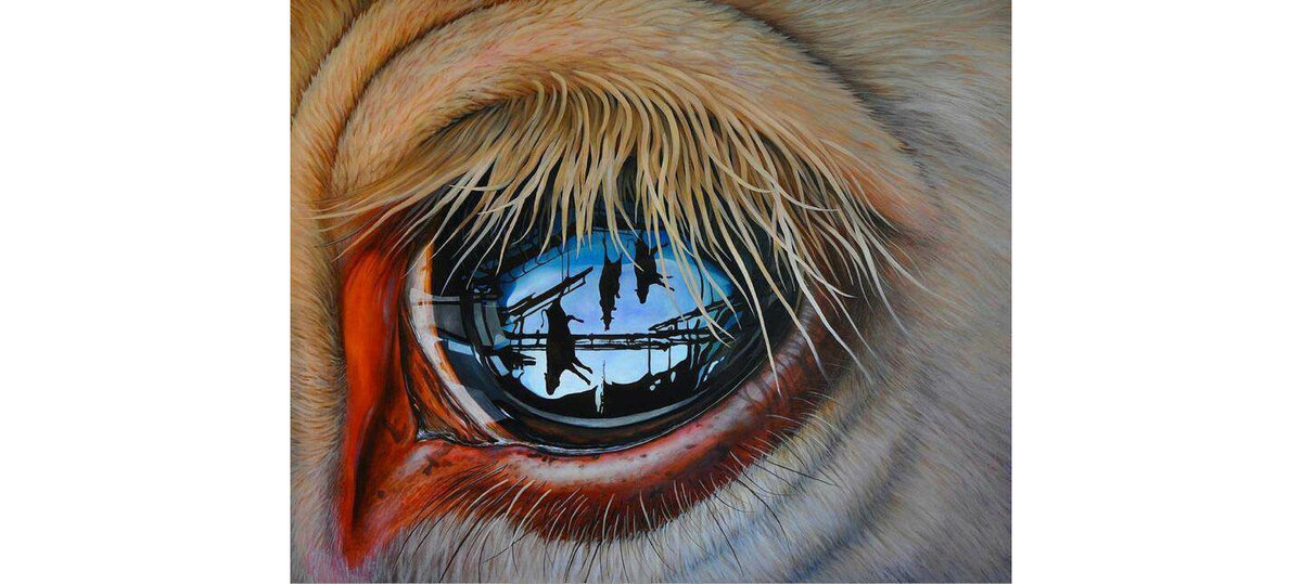 Недавно появившаяся мечта смотрит на другие мечты, которые подвешены в воздухе...