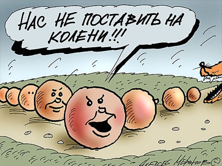 Вперед за приключениями картинка