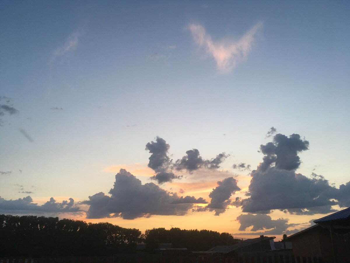 Над нашим домом, постоянно летают разные птицы - ангелы... ) 