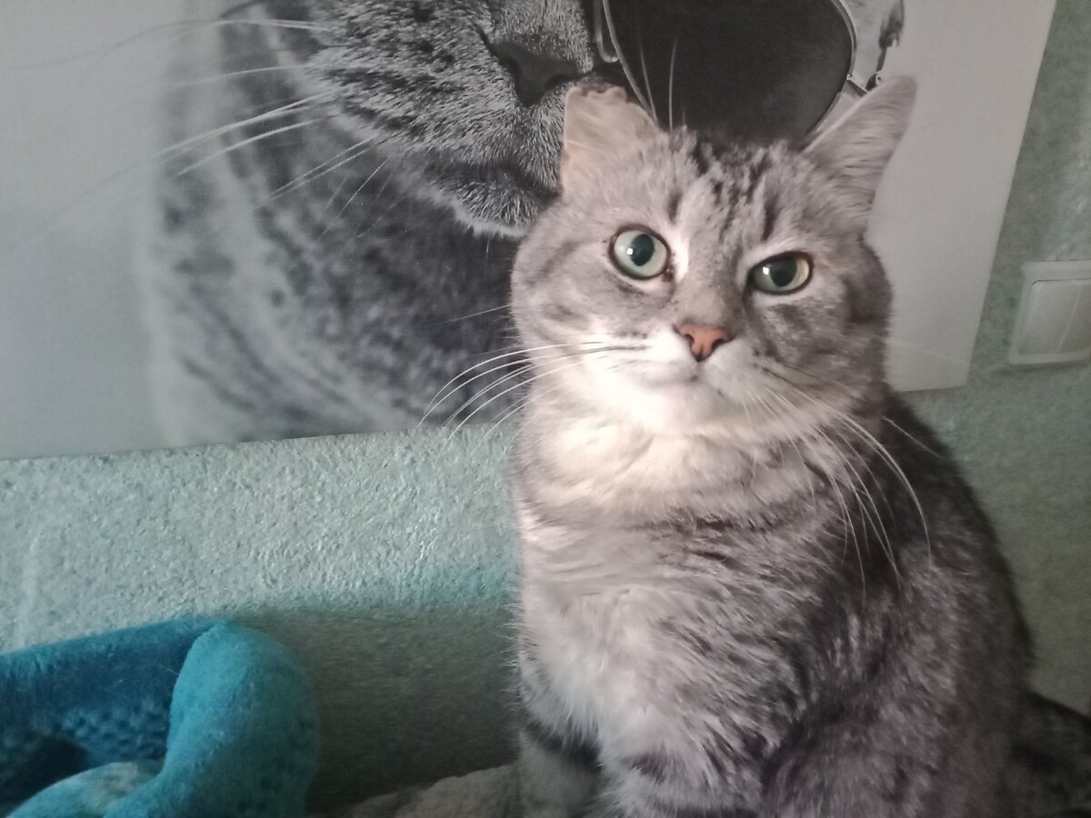 Сегодня предсказывает Макс.