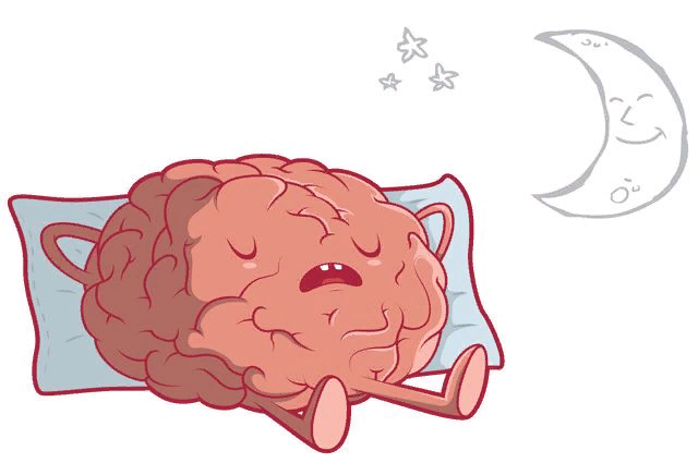 Твоему мозгу тоже нужен отдых
