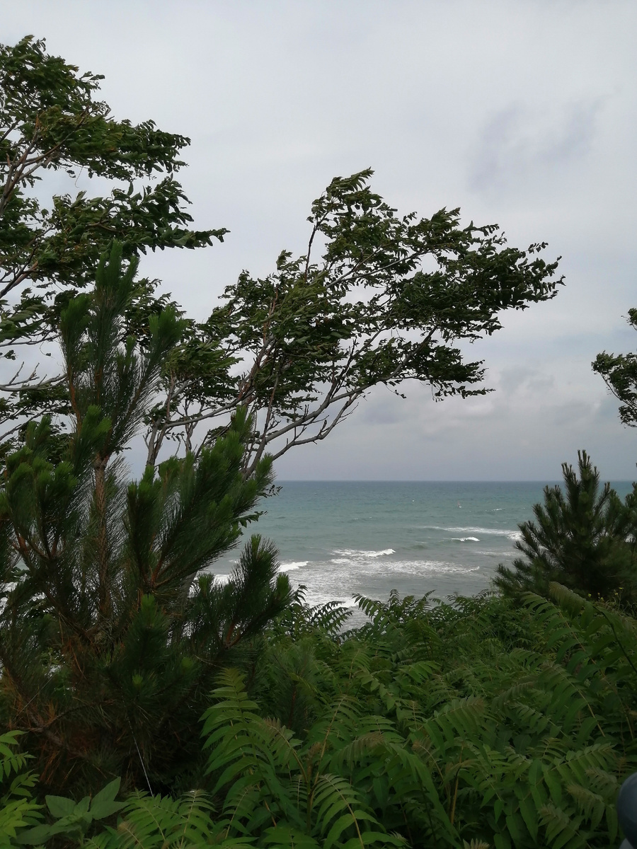 Моря в ленту для оптимизма