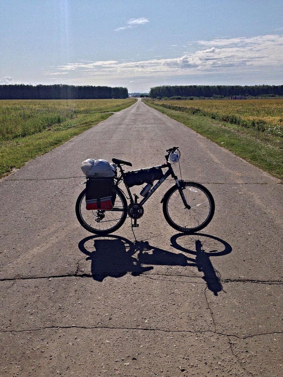 В поле рядом с Йошкар-Олой. Фото автора 