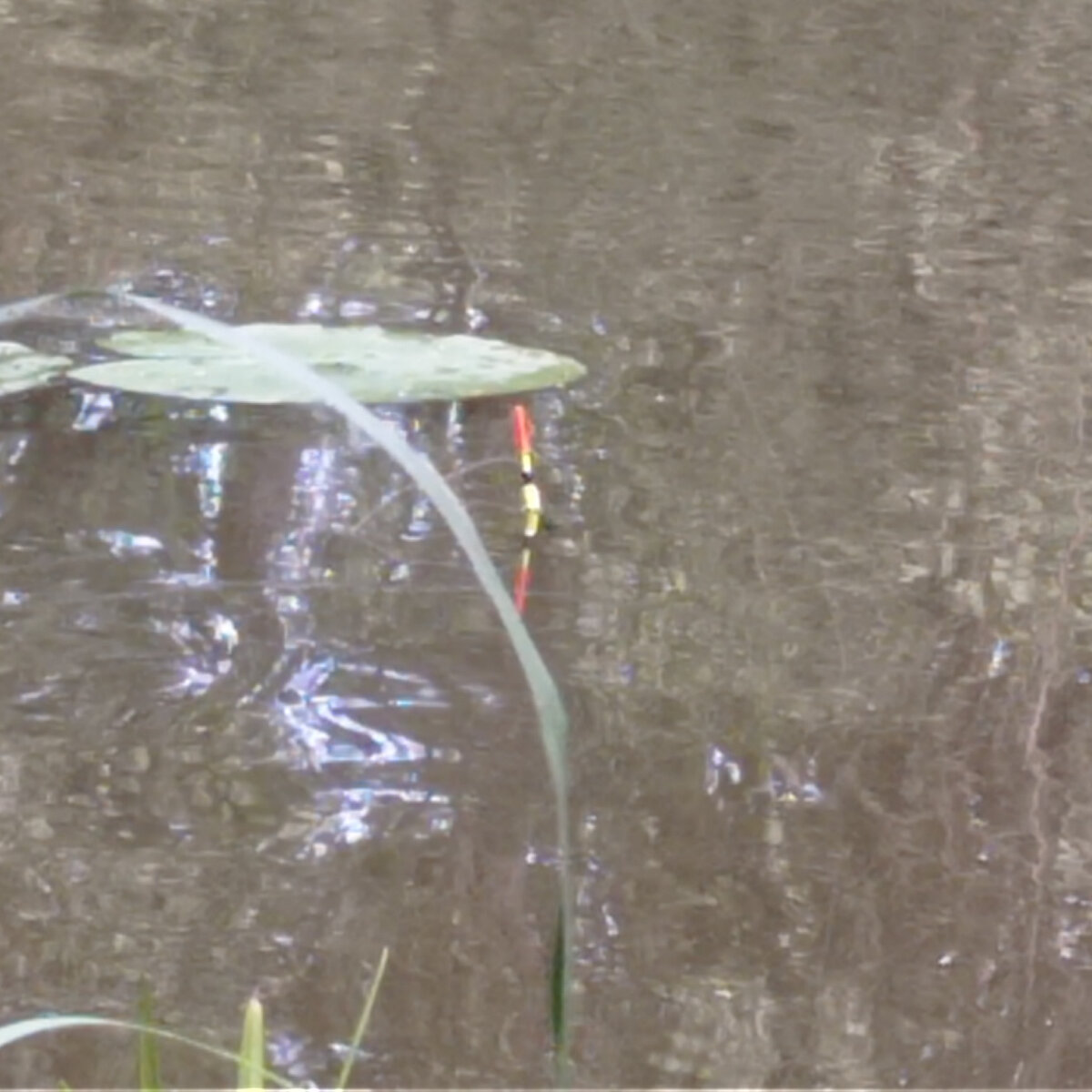 Маленький поплавок - залог успеха