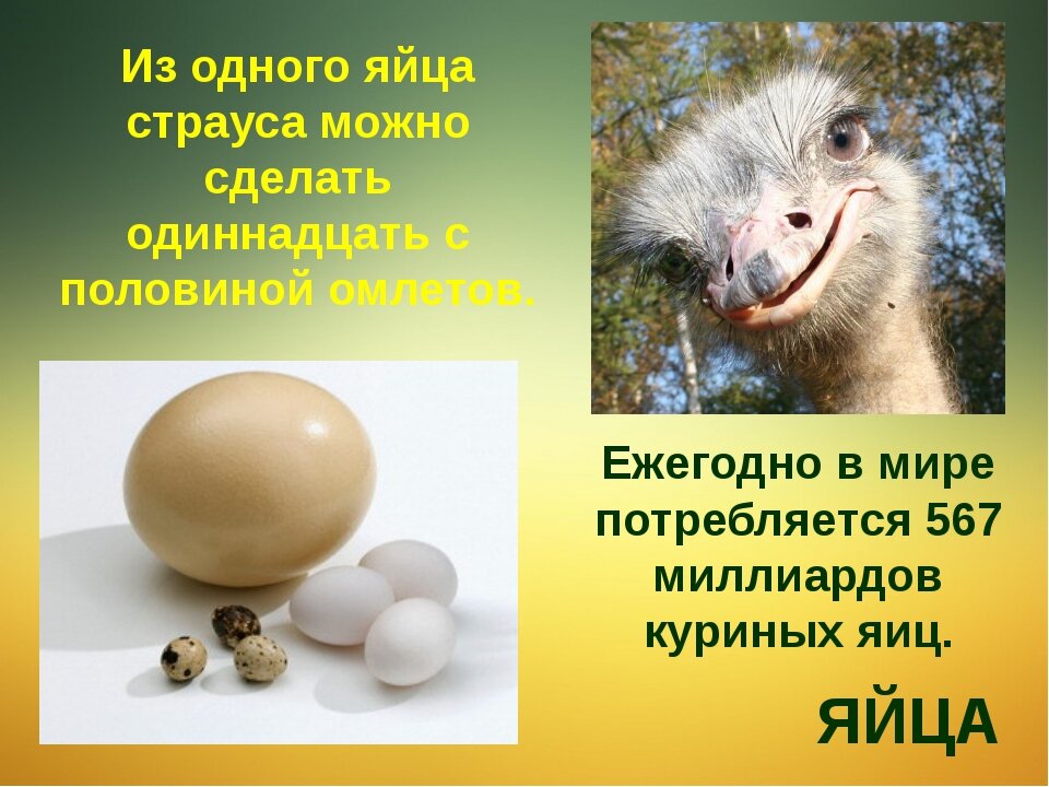 Яндекс картинки