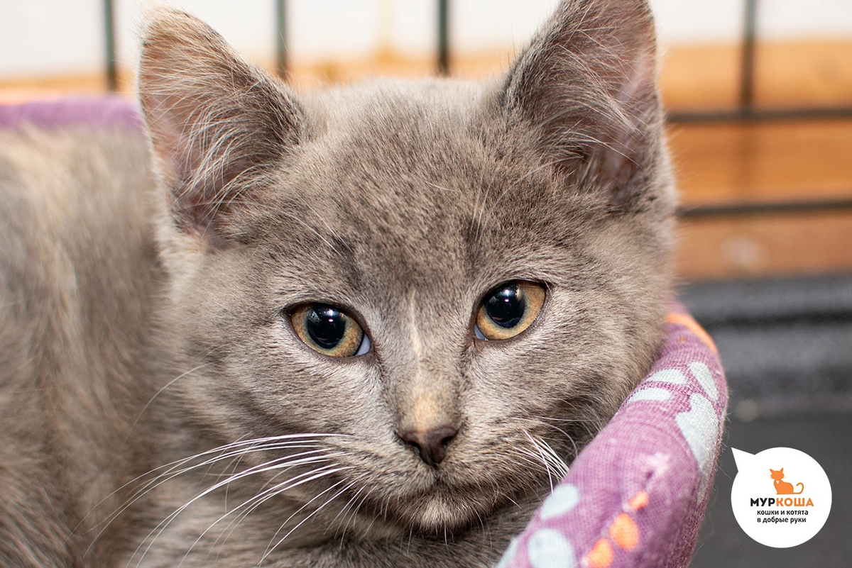 А сейчас они с сестрёнкой ожидают своей главной встречи