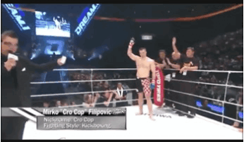 Мирко "Кро Коп"