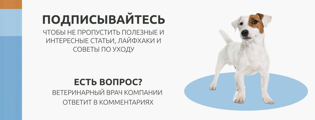 Пишите ваш вопрос или мнение в комментариях