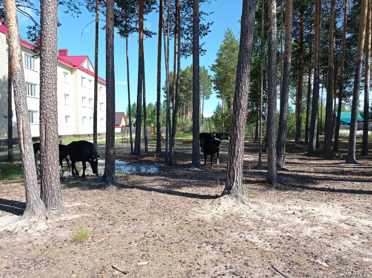 Фото автора канала