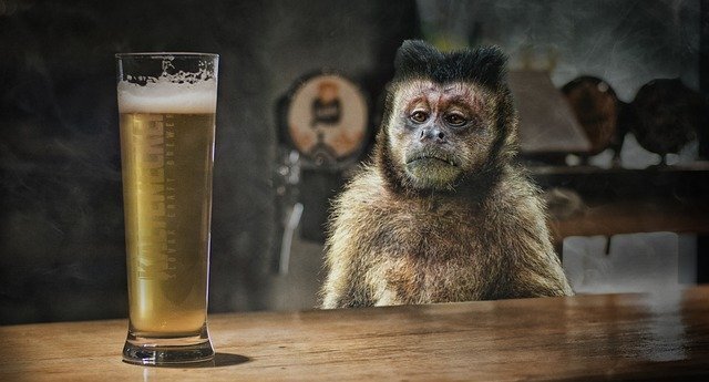 Image by Lothar Dieterich from Pixabay https://pixabay.com/photos/corona-ape-drink-bar-counter-5116219