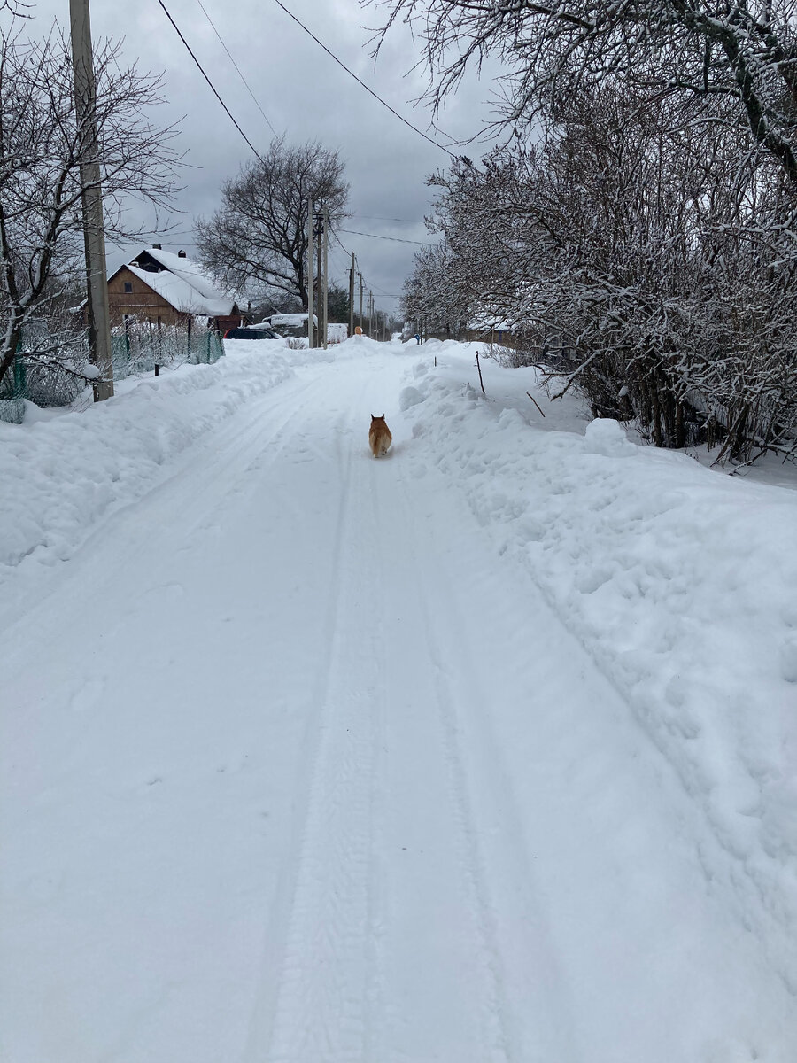 Наша дорога