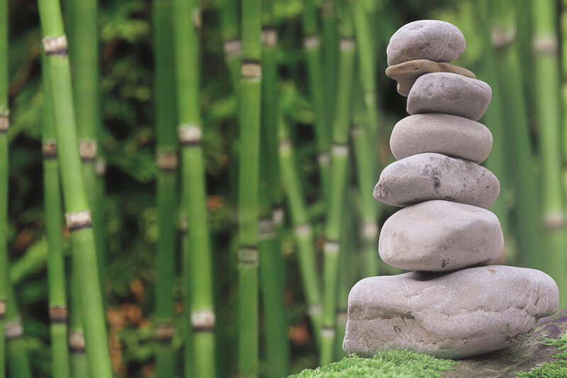 Картинка взята с сайта https://pixabay.com/ru/