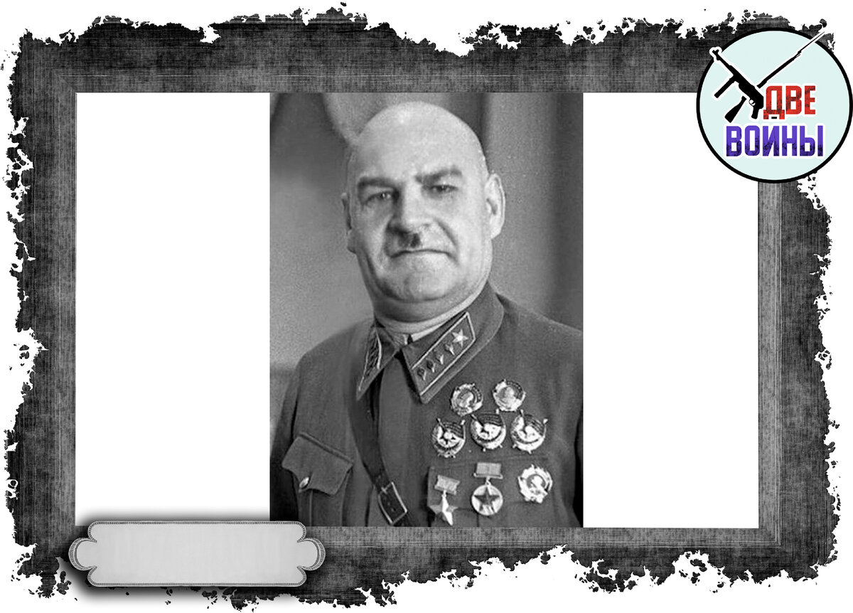 Кулик. Фото в свободном доступе.