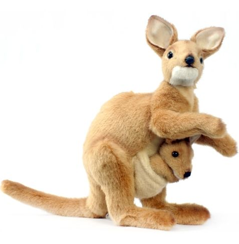 Фото взято из сети интернет.