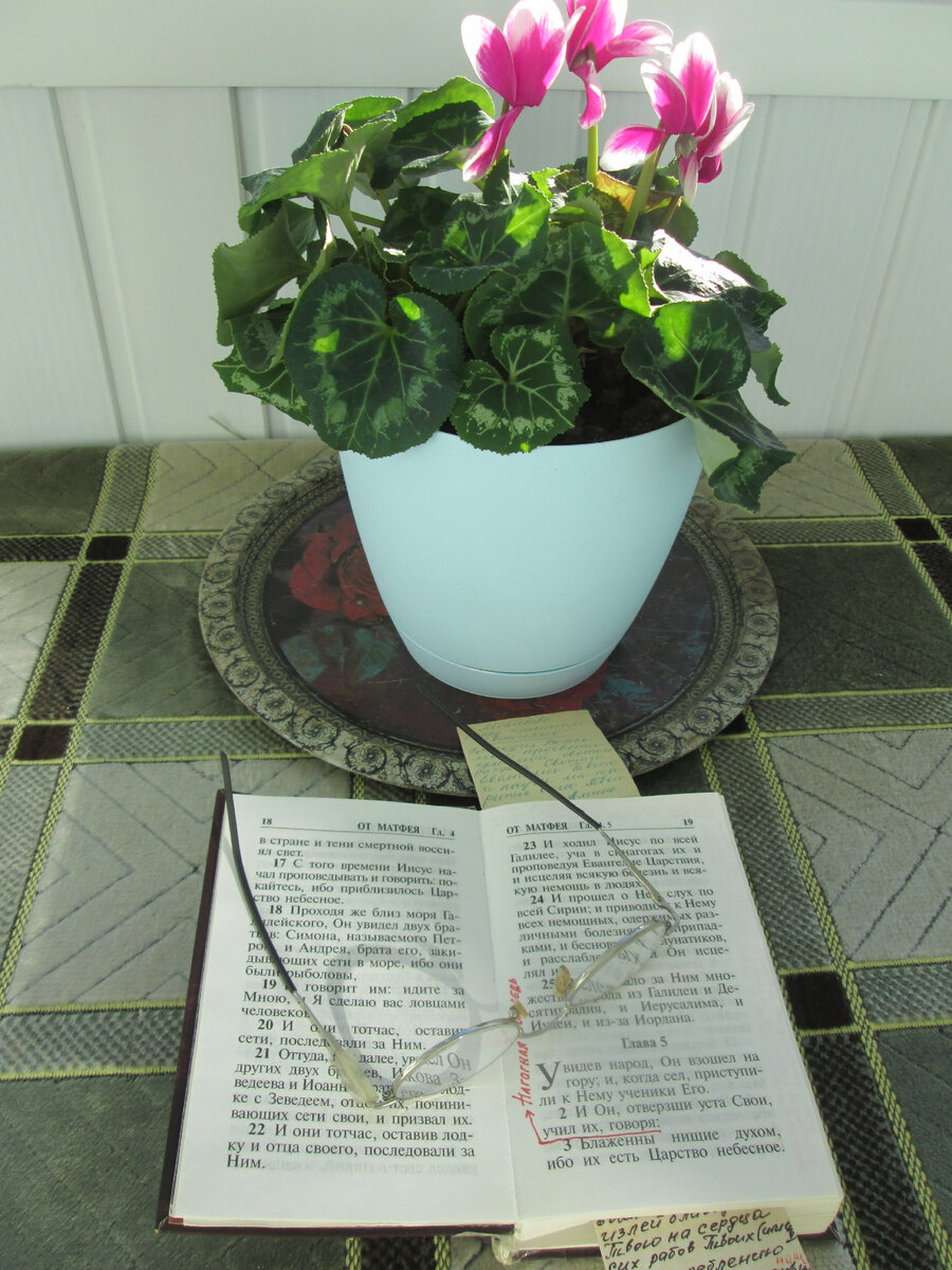 фото автора...