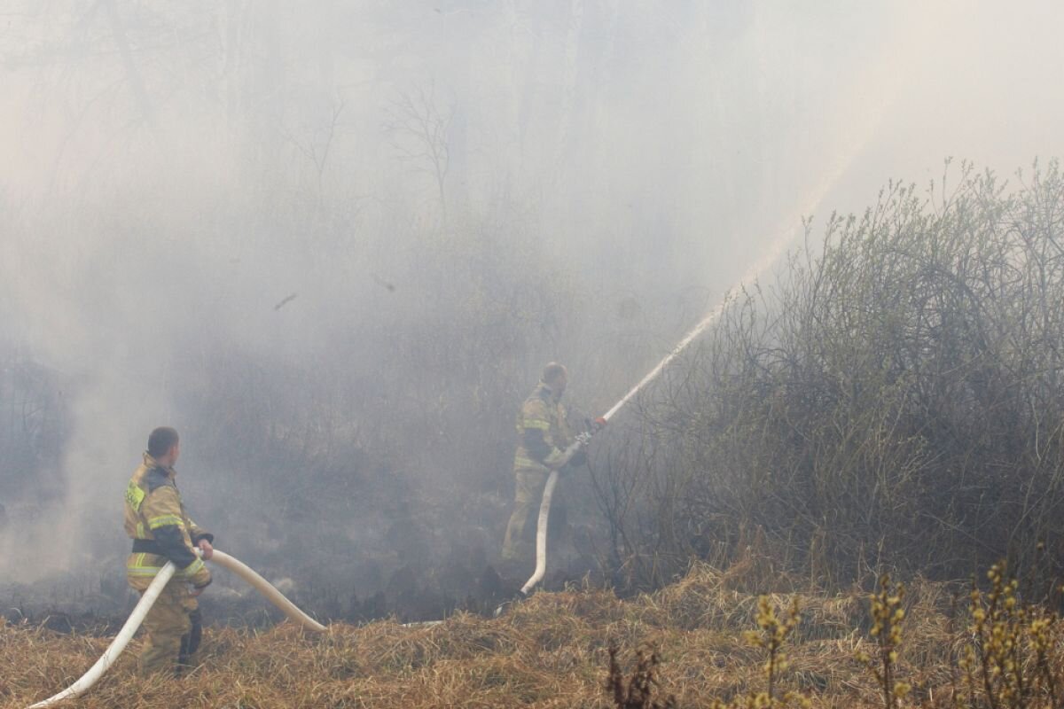    Работа пожарных МЧС в районе пожара в лесном массиве у трассы Р354 (Екатеринбург - Курган) в Курганской области. 29.04.2022