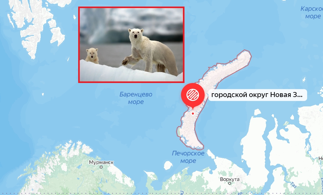 Сообщество новой земли. Архипелаг новая земля на карте. Сухой нос новая земля на карте. Остров Северный архипелаг новая земля. Мыс сухой нос