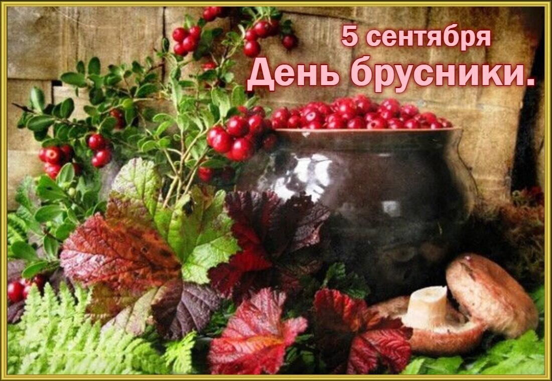 Картинка взята из яндекса 