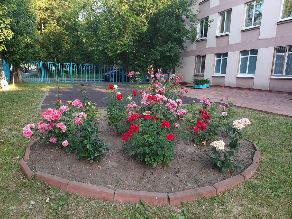 И еще одно мое фото просто для иллюстрации