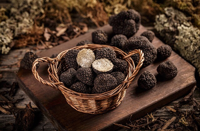    Черные трюфели. Фото: Shutterstock.com