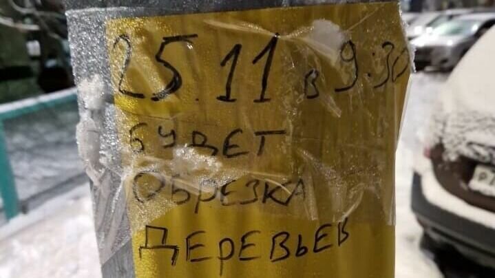     Они требуют, чтобы Горзеленхоз сажал цветочки и не приближался к деревьям.